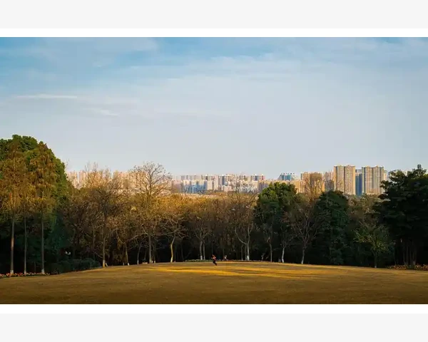 免费B2B网站挑选技巧与发布渠道全解_差异化的关键在哪里