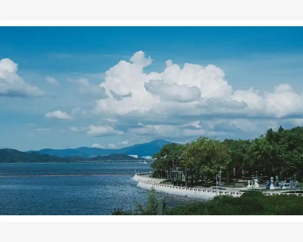 免费B2B网站推广技巧与平台选择_先搞清楚B2B企业对企业的大宗交易