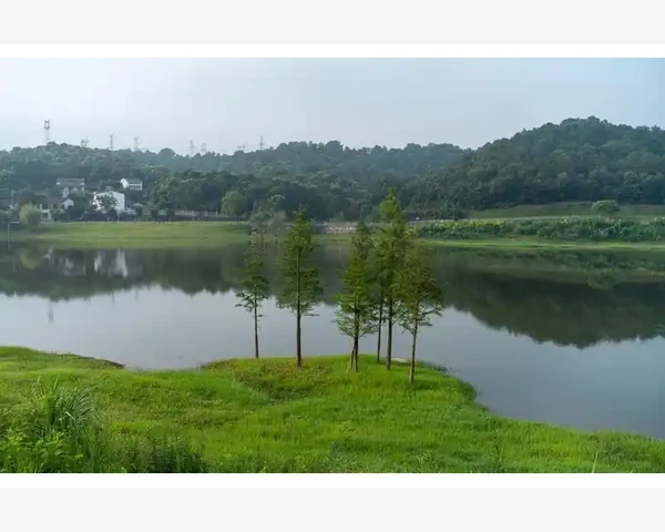 B2B平台挑选核心差异与实战对比分析_叫停背后的真正原因是什么