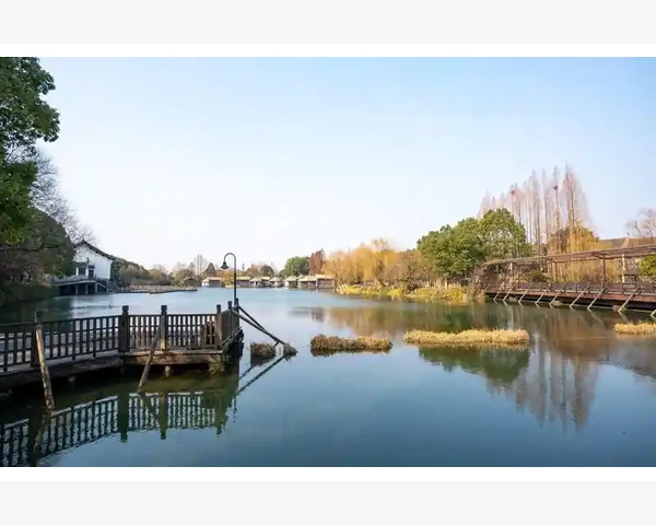 MT4图表自动滚动关闭与开启轻松掌握