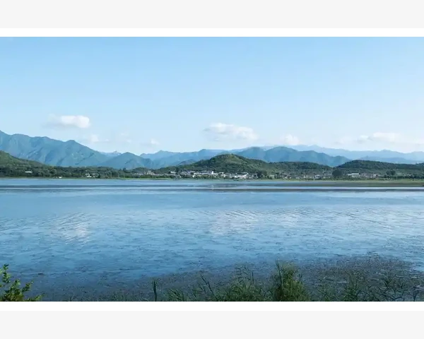 B2B企业推广实战操作流程详解_技术驱动的分化与融合