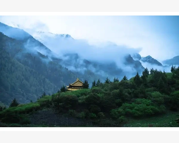 外贸预算有限线下展会还是线上平台更划算_建立线下体验和线上联动的闭环