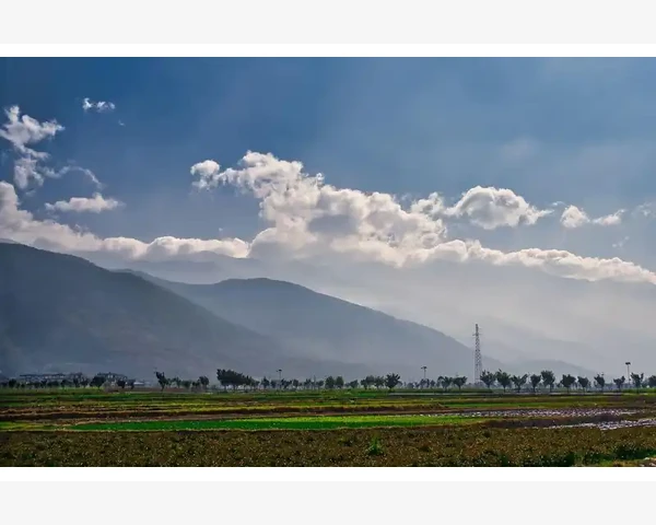 B2B企业成功案例背后的运营密码_选对平台是群发成功的第一步