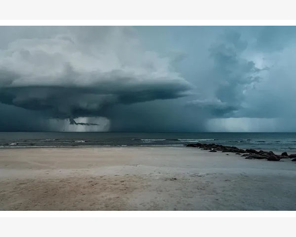 马云如何用B2B模式重塑中小企业贸易格局_深挖政府采购平台的隐形规则
