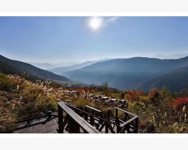 房地产B2B如何重塑建材采购链条_用数据说话才能挑到好平台